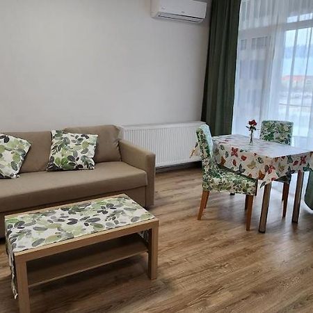 Butterfly Apartment Timisoara Bagian luar foto