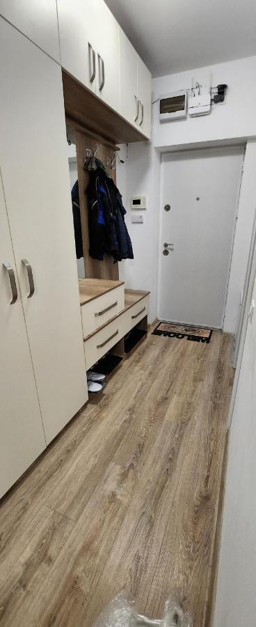 Butterfly Apartment Timisoara Bagian luar foto