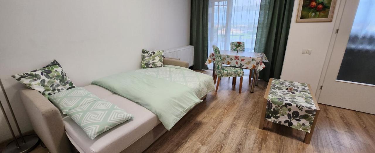 Butterfly Apartment Timisoara Bagian luar foto