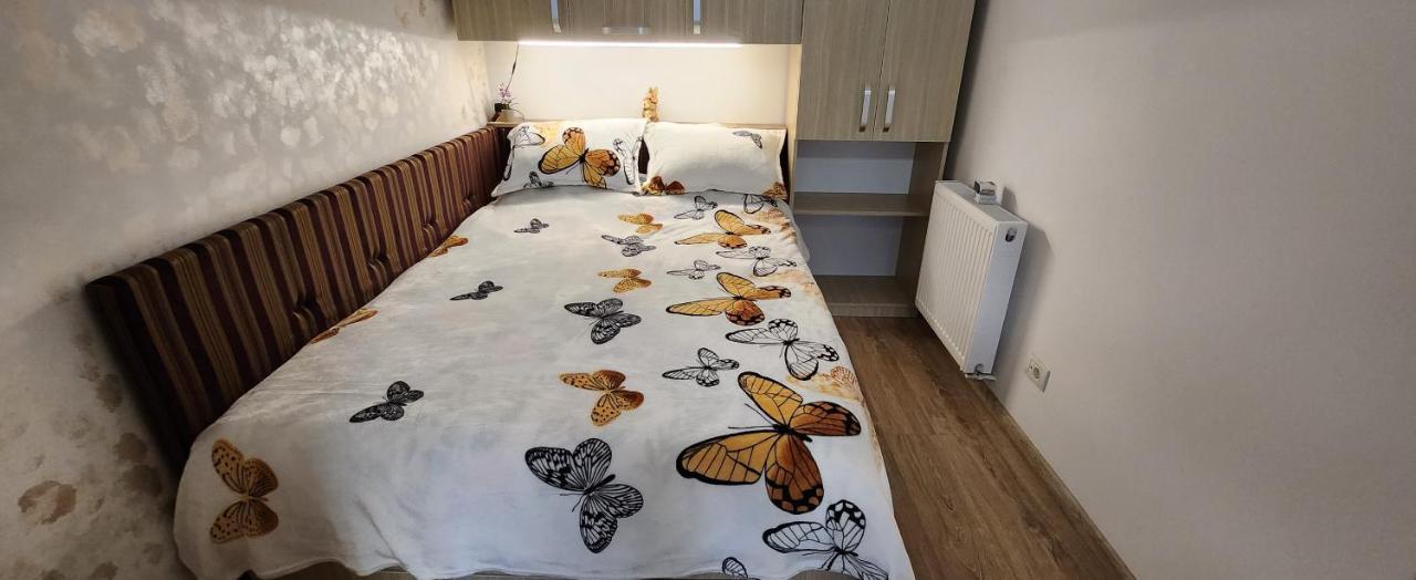 Butterfly Apartment Timisoara Bagian luar foto