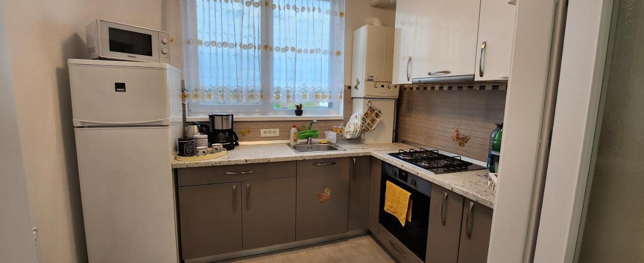 Butterfly Apartment Timisoara Bagian luar foto