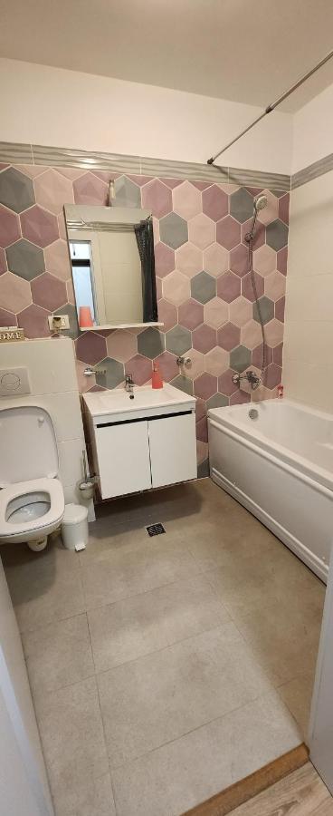 Butterfly Apartment Timisoara Bagian luar foto