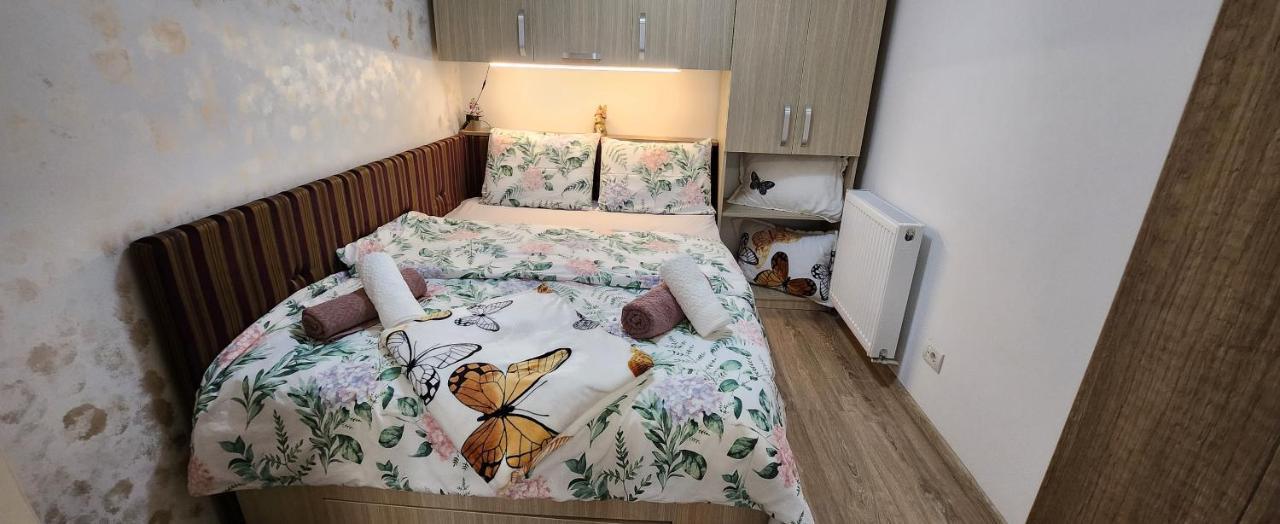 Butterfly Apartment Timisoara Bagian luar foto