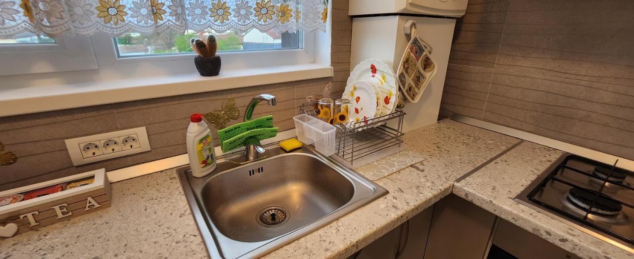 Butterfly Apartment Timisoara Bagian luar foto