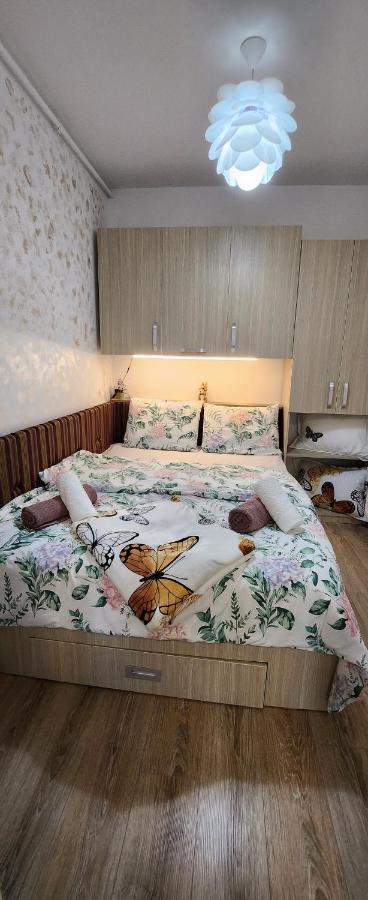 Butterfly Apartment Timisoara Bagian luar foto