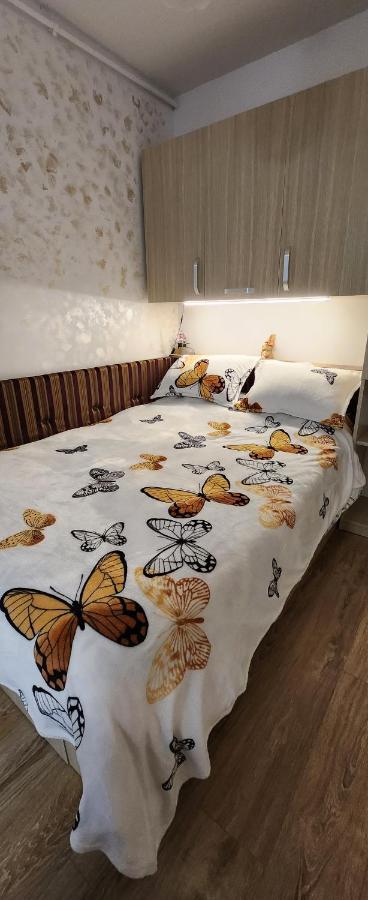 Butterfly Apartment Timisoara Bagian luar foto